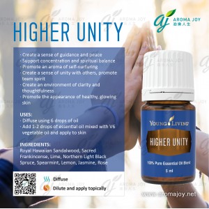 Higher Unity 同心